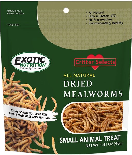 Canned Wax Worms Healthy High Protein Treat for Hedgehogs, Sugar