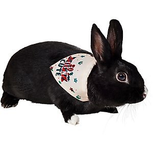 Frisco So Elf'n Cute Small Pet Bandana, White