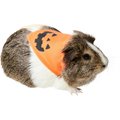 Frisco Jack O' Lantern Pumpkin Small Pet Bandana, Orange