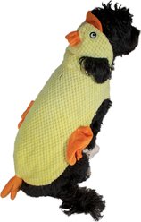 Royal Animals Chicken Dog Costume, X-Small slide 2 of 4
