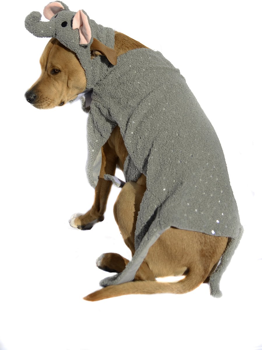 Elephant costume clearance for small dogs