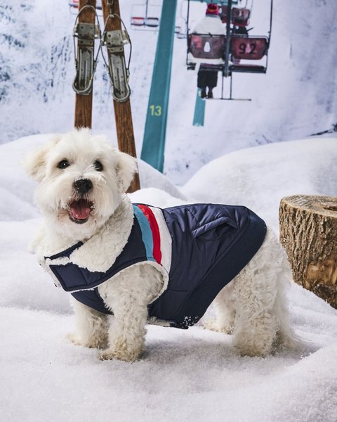 Hotel Doggy Sherpa Lining Dog Puffer Vest, Insignia Blue, Medium slide 1 of 6