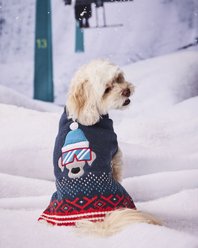 Hotel Doggy Dog Sweater, Insignia Blue, Small
