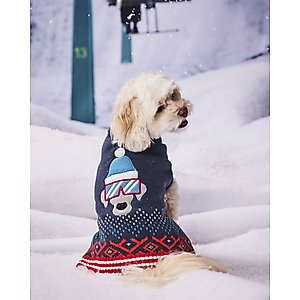 Hotel Doggy Dog Sweater, Insignia Blue, Medium