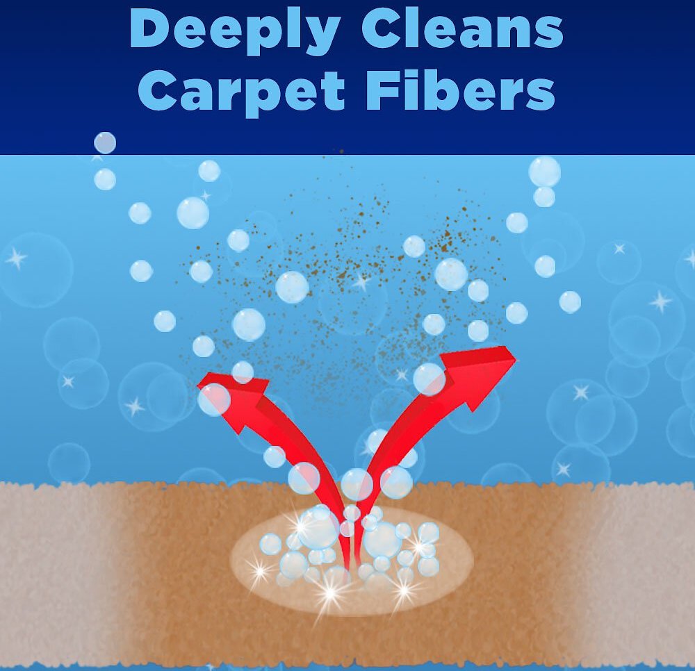 OXICLEAN Carpet & Area Rug Dog, Cat & Small Pet Stain & Odor Remover