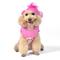 Show in main carousel: Fetch For Pets Care Bears Halloween Cheer Bear Sleeveless Dog Hoodie, Medium slide 2 of 6