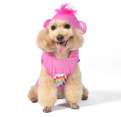 Show full view: Fetch For Pets Care Bears Halloween Cheer Bear Sleeveless Dog Hoodie, Large slide 2 of 6