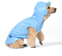 Fetch For Pets Care Bears Halloween Grumpy Bear Sleeveless Dog Hoodie, Large