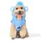 Show in main carousel: Fetch For Pets Care Bears Halloween Grumpy Bear Sleeveless Dog Hoodie, X-Large slide 2 of 5