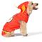 Show in main carousel: Fetch For Pets DC Comics Halloween Flash Dog Costume, X-Large slide 1 of 5