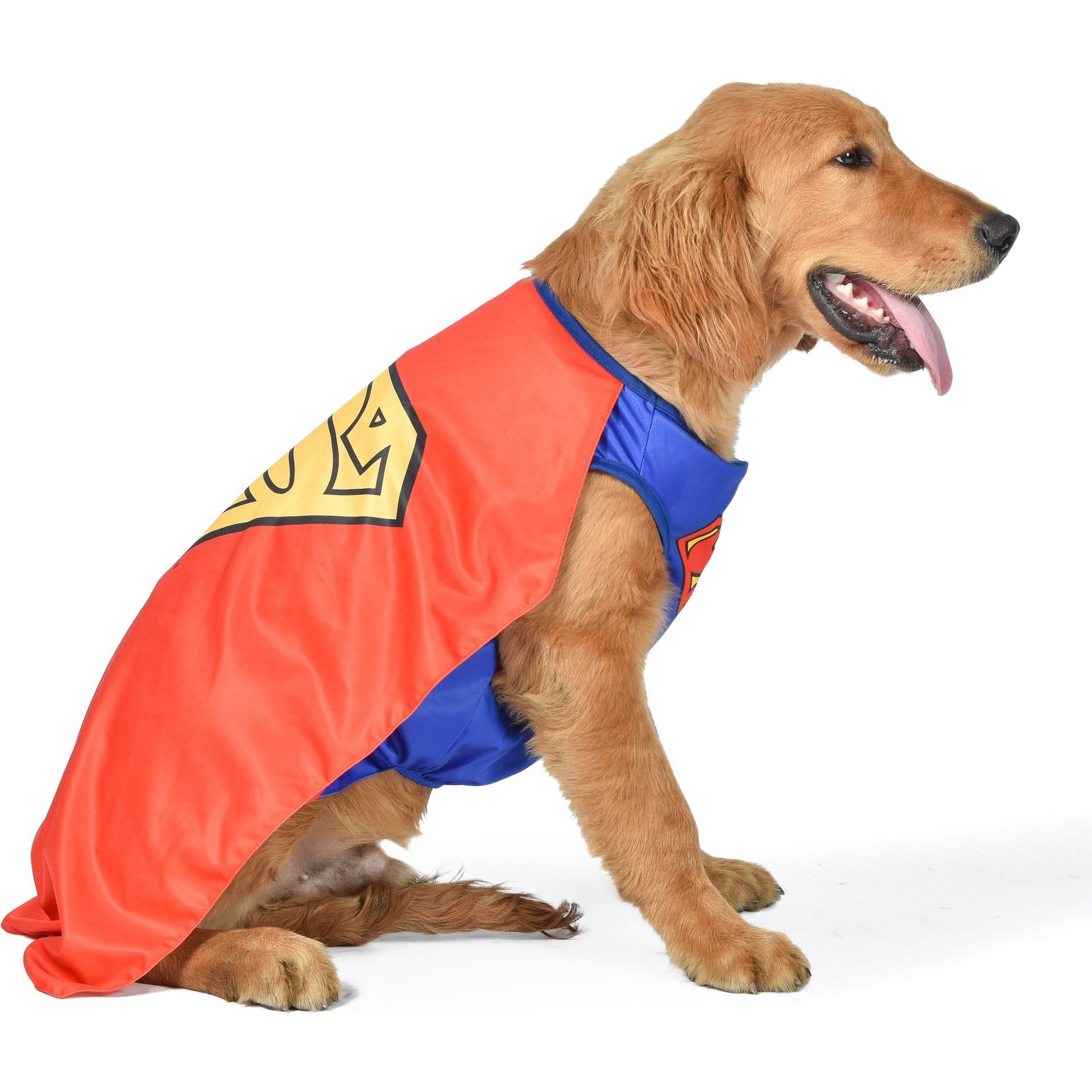 Fetch For Pets DC Comics Halloween Superman Dog Costume, X-Large