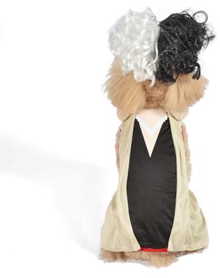 Show full view: Fetch For Pets Disney Villains Halloween Cruella Dog Costume, Small slide 3 of 5
