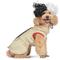 Show in main carousel: Fetch For Pets Disney Villains Halloween Cruella Dog Costume, Large slide 1 of 6