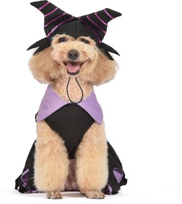 Show full view: Fetch For Pets Disney Villains Halloween Maleficent Dog Costume, Medium slide 2 of 6