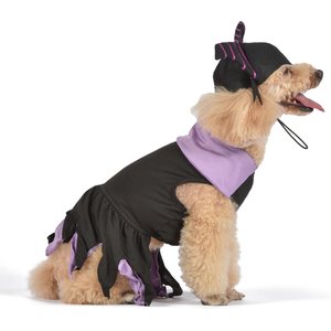 Fetch for Pets Disney Villains Halloween Maleficent Dog Costume, X-Large
