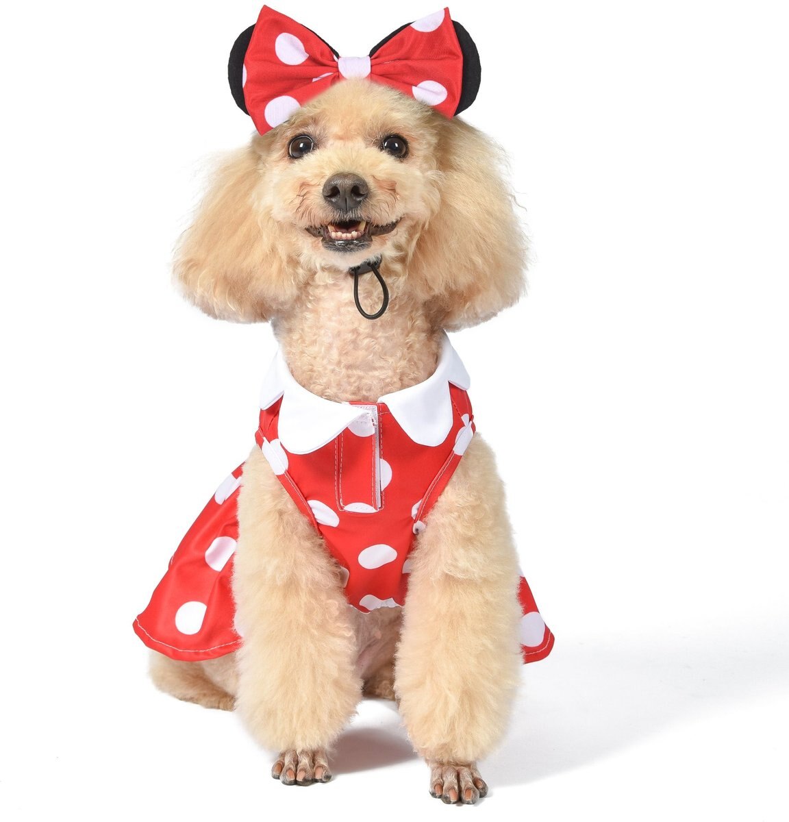 Fetch For Pets Disney Halloween Minnie Mouse Dog Costume