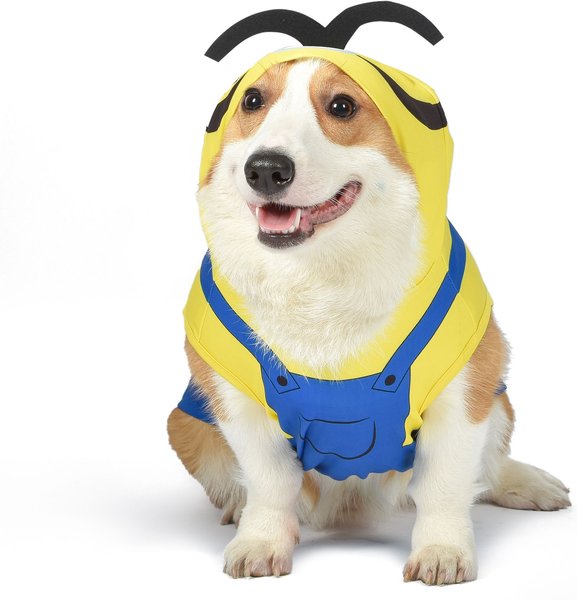 Fetch For Pets Illumination Minions Halloween Dog Costume