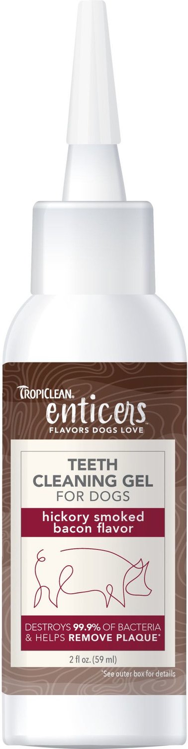 TropiClean Enticers Hickory Smoked Bacon Flavor Dog Dental Chews, 12 count