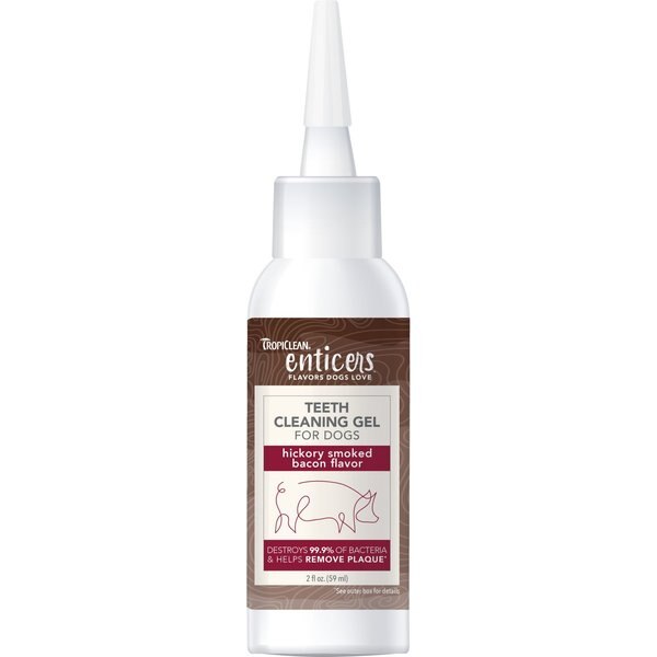 TropiClean Enticers Peanut Butter & Honey Flavor Dog Teeth Cleaning Gel, 2-oz tube