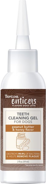 TropiClean Enticers Peanut Butter & Honey Flavor Teeth Cleaning Dog Dental Gel, 2-oz tube slide 1 of 9