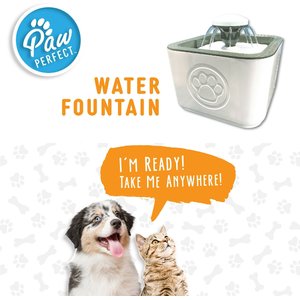 The Best Water Fountain for Cats and Dogs in 2024