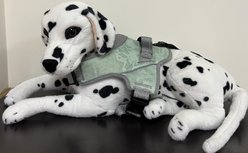 Doggy Tales Realtree Patented Hart Dog Harness, Lime Green, 60-in