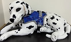 Doggy Tales Realtree Patented Hart Dog Harness, Standard Blue, 50-in