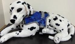 Doggy Tales Realtree Patented Hart Dog Harness, Standard Blue, 60-in