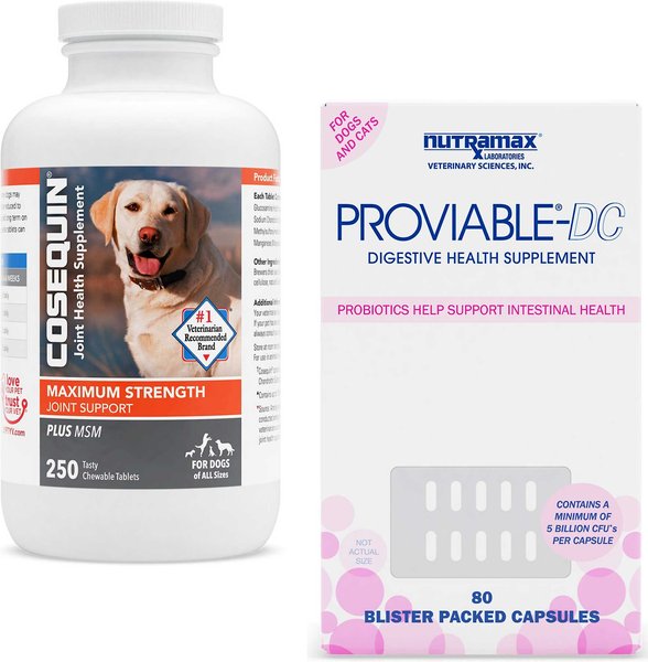 Nutramax Cosequin Maximum Strength Plus MSM Chewable Tablets Joint Supplement + Nutramax Proviable-DC Capsules Digestive Supplement for Dogs slide 1 of 9