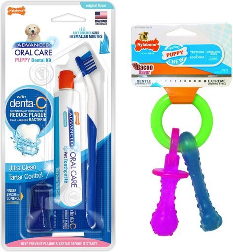 Nylabone Advanced Oral Care Puppy Dental Kit + Teething Pacifier Chew Toy