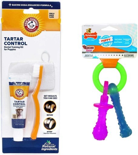 Arm & Hammer Dental Tartar Control Puppy Enzymatic Toothpaste & Dental Training Kit + Nylabone Teething Pacifier Chew Toy