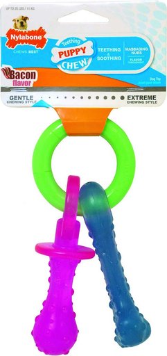 Arm & Hammer Dental Tartar Control Puppy Enzymatic Toothpaste & Dental Training Kit + Nylabone Teething Pacifier Chew Toy