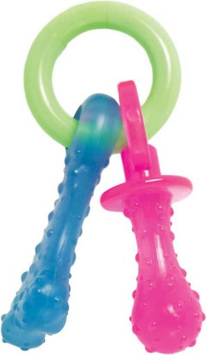 Arm & Hammer Dental Tartar Control Puppy Enzymatic Toothpaste & Dental Training Kit + Nylabone Teething Pacifier Chew Toy