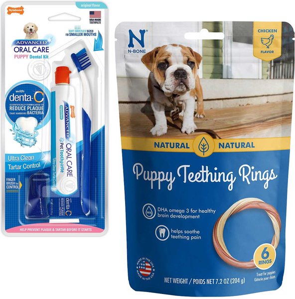 Nylabone Advanced Oral Care Puppy Dental Kit + N-Bone Teething Ring Chicken Flavor Dog Treats slide 1 of 9