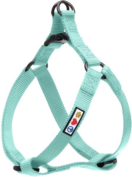 Pawtitas Solid Dog & Cat Harness, Teal, Small slide 1 of 8