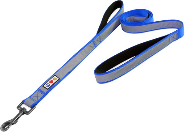Pawtitas Padded Reflective Dog Leash 2 Handles, Blue, Large slide 1 of 7