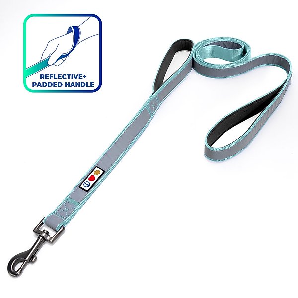 Pawtitas Padded Reflective Dog Leash 2 Handles, Teal, Large slide 1 of 7