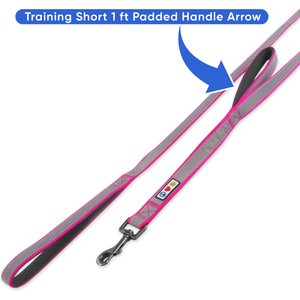 Pawtitas Padded Reflective Dog Leash 2 Handles, Pink, Large
