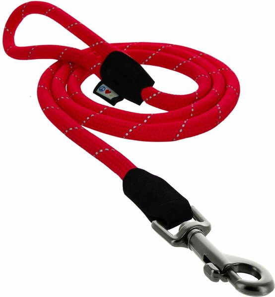 Pawtitas Reflective Rope Dog Leash, 6-ft, Red, Large slide 1 of 8