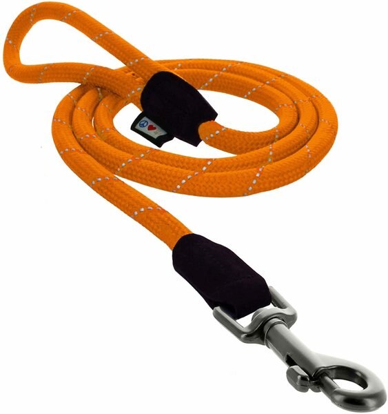 Pawtitas Reflective Rope Dog Leash, 6-ft, Orange, Large slide 1 of 8