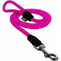 Pawtitas Reflective Rope Dog Leash, 6-ft, Pink, Large