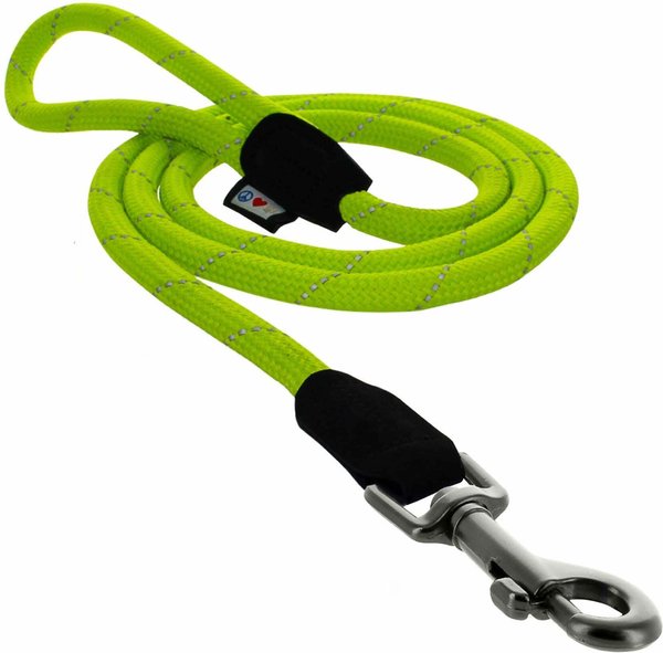 Pawtitas Reflective Rope Dog Leash, 6-ft, Green, Small slide 1 of 8