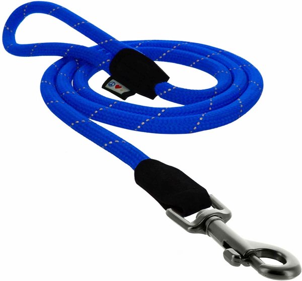 Pawtitas Reflective Rope Dog Leash, 6-ft, Blue, Small slide 1 of 8