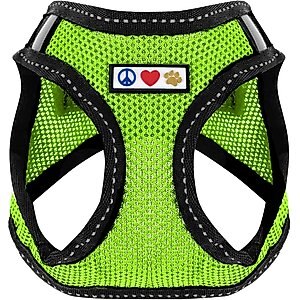 Pawtitas Reflective Mesh Dog Harness, Green, X-Large