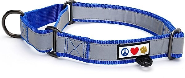 Pawtitas Reflective Martingale Dog Collar, Blue, Small slide 1 of 9