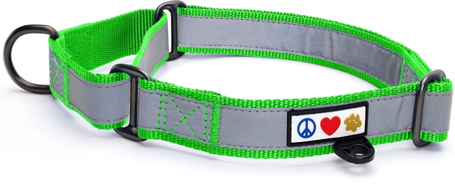 Pawtitas Reflective Martingale Dog Collar