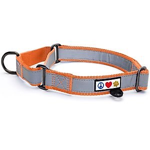 Pawtitas Reflective Martingale Dog Collar, Orange, Large