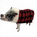 Morty's Pig Clothes Easy-on Elastic Fleece Cloak Dog, Cat & Horse Sweater, Red Buffalo Plaid, X-Large