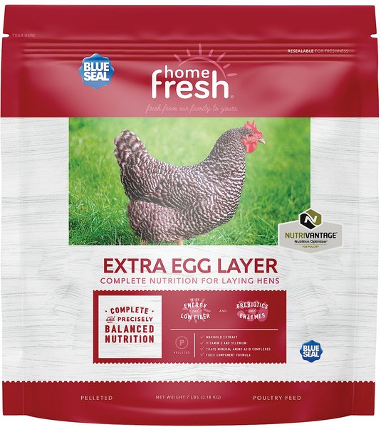 Blue Seal Home Fresh Extra Egg Layer 16% Protein Poultry Food, 7-lb bag slide 1 of 6