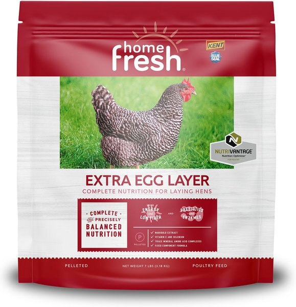 KENT BLUE SEAL Home Fresh Extra Egg Layer 17 Protein Pellets Poultry Feed 7 lb bag Chewy